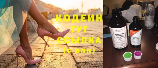 ECSTASY Няндома
